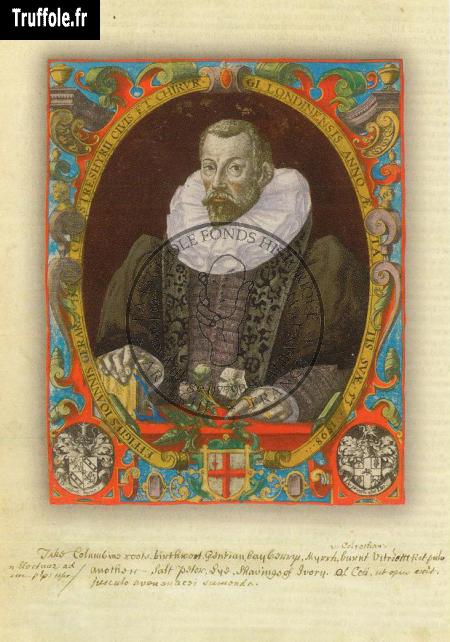 John GERARD tenant un rameau fleuri de pomme de terre