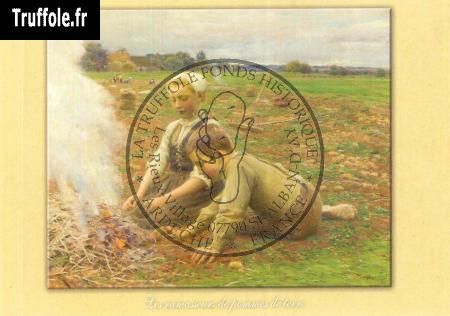 La récolte des pommes de terre