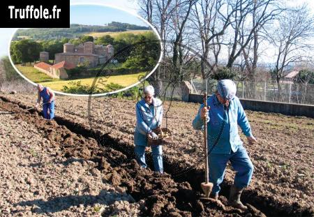 La plantation des truffoles par la famille BESSET