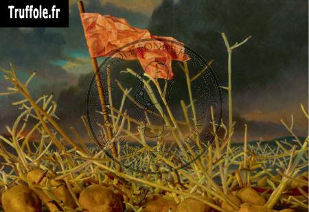 La bataille des pommes de terre
