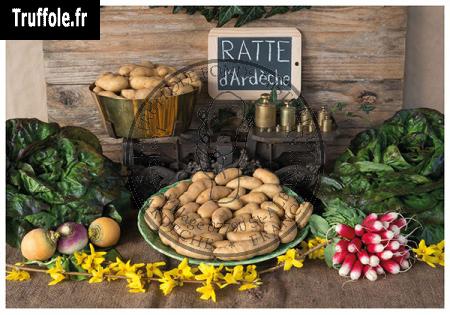 La Ratte d’Ardèche