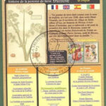 05-truffole-com