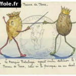 104-duel-rutabag-pomme-de-terre-1