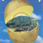 11-st-alban-d-ay-pays-truffole