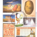 13-exposition-affiches-truffoles