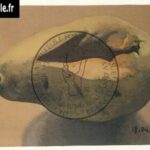 14-pomme-de-terre-blessee-henri-cueco