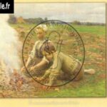 33-recolte-pommes-de-terre