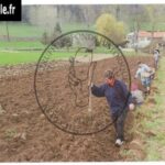53-plantation-familiale-truffoles