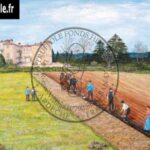 61-plantation-truffole-marie-girodet-olivier
