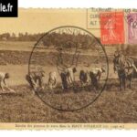62-recolte-truffoles-ardeche-1935