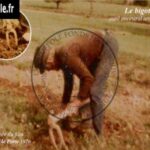72-le-bigot