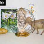 77-truffole-chevre-picodon