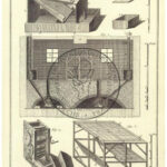 78-pomme-de-terre-encyclopedie