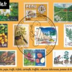 83-timbres-pomme-de-terre