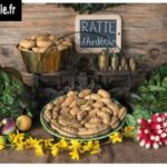 87-ratte-ardeche