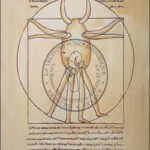 91-metamorphose-metaphorique-b