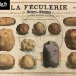 95-ancienne-affiche-publicitaire-la-feculerie